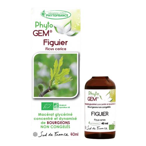 Bourgeons De Figuier Bio Phyto Gem Phytofrance Aromadole