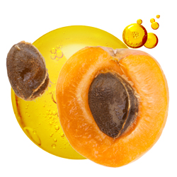 noyaux abricots