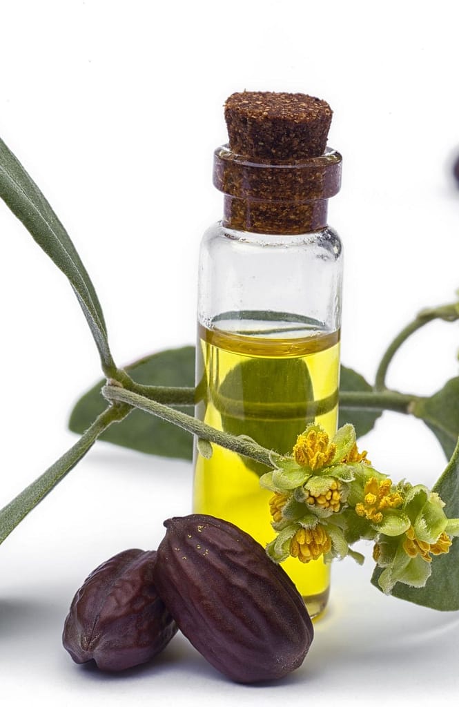 huile végétale jojoba bienfaits